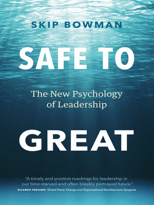 cover image of Safe to Great